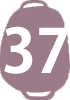 No.37