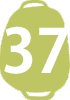 No.37